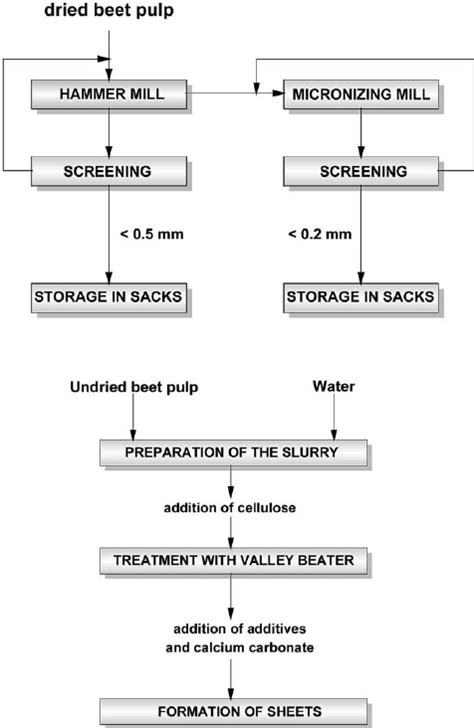 Composition Of Beet Pulp And Cane Bagasse Download Scientific Diagram