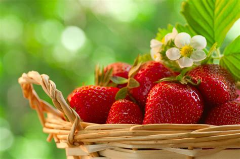 Fruit Strawberry Food Strawberries Wallpapers Hd Desktop And