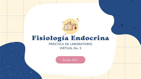 Laboratorio Fisiolog A Endocrina Grupo Youtube