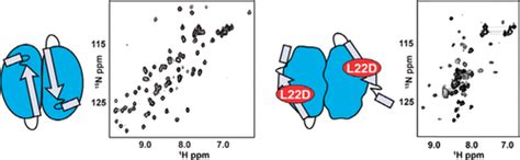 Conformation Of The Cell Division Regulator MinE Evidence For