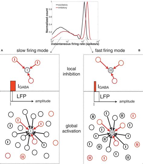 Scheme Of The Network Spiking Activity Underlying Slow A And Fast B