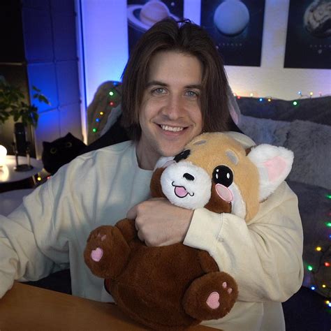 moodrush timit red panda plush pillow shop