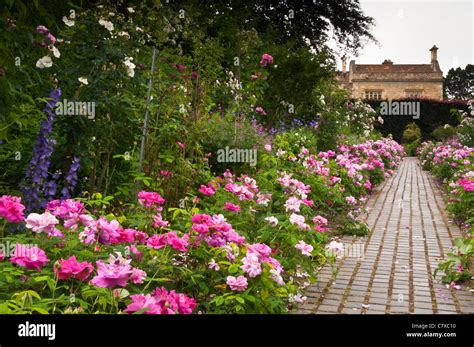 A Brick Paved Path Flanked By Colourful Summer Roses In The Rose Border