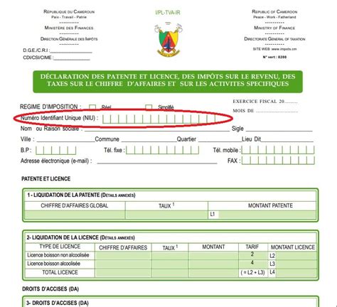 Numéro didentifiant unique Pourquoi la réforme coince