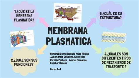 Mapa Mental Membrana Plasmatica