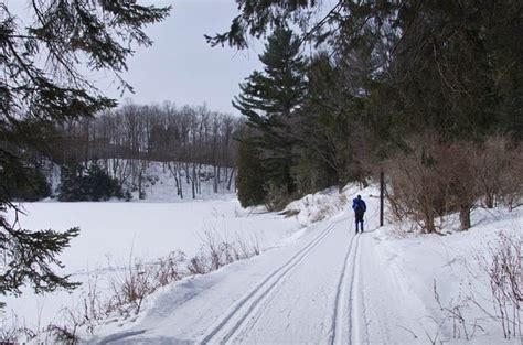 Cross-country Skiing in Gatineau Park, Quebec