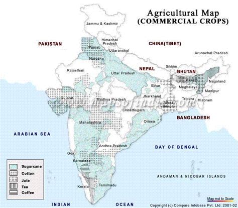 Map Of India’s Crop Growing Areas The Cotton Marketing Planner