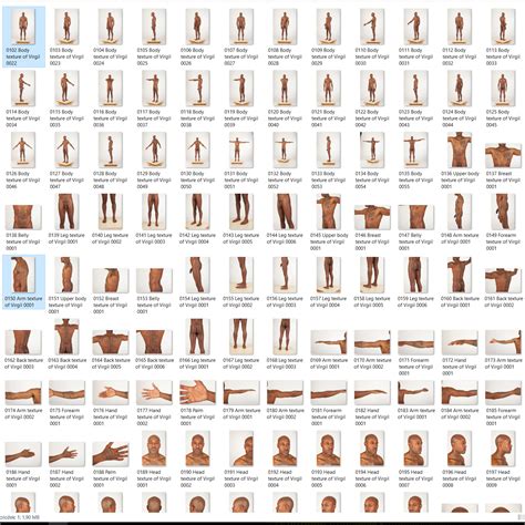 Virgil Nude Male Full Figure Photo References D Graphics Levius