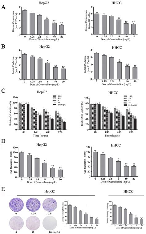 Gemcitabine Inhibits The Warburg Effect And The Growth Of Hcc Cells