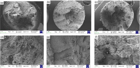 Sem Fractography Of The Tensile Specimen Strained At C For A D