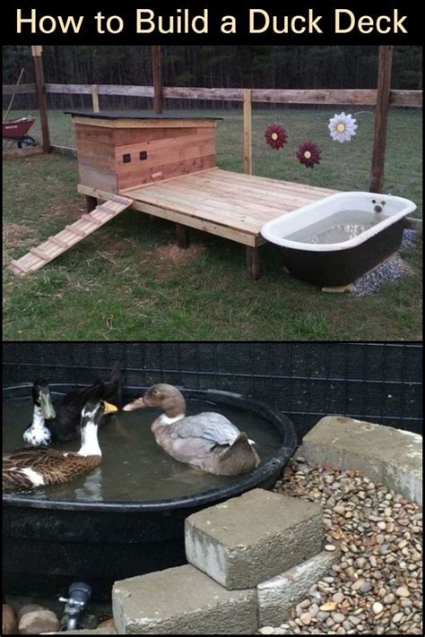 How To Build A Duck Deck Diy Projects For Everyone Duck Coop