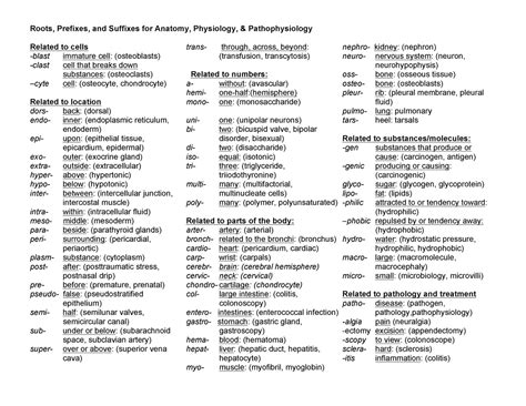 Useful Prefixes And Suffixes Roots Prefixes And Suffixes For