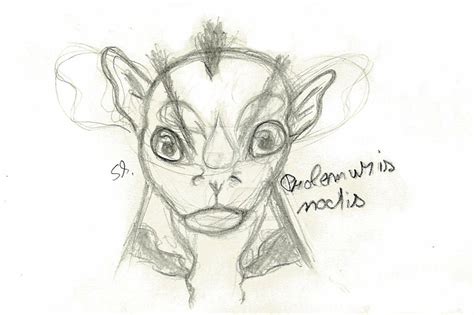 Prolemuris noctis by TheAonumaLuca on DeviantArt
