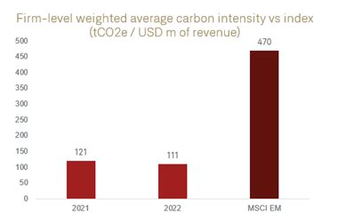 Taking Stock ESG Constructive Ownership In 2022 Arisaig Partners