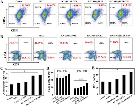 Representative Flow Cytometry Plots Showing A Matured Dcs In Lymph Download Scientific Diagram