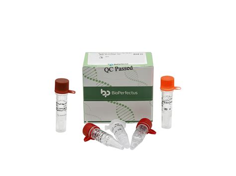 Bioperfectus Mycoplasma Pneumoniae Real Time Pcr Kit