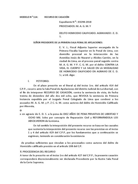 Modelo De Casacion Penal Pdf Derecho Penal Debido Al Proceso