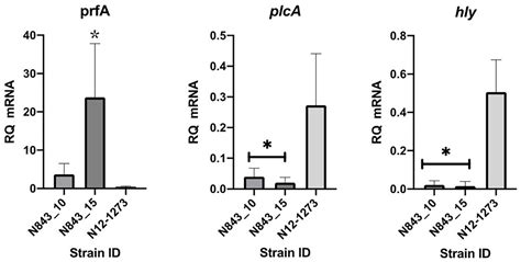 Frontiers Evolution Of Listeria Monocytogenes During A Persistent