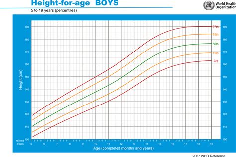 Taille idéale chez le garçon de 5 à 19 ans Organisation mondiale de