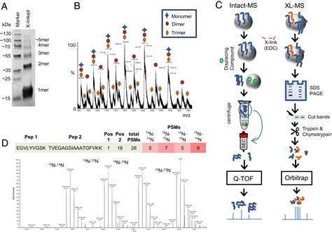 High Resolution Structural Information Of Membrane Bound α Synuclein