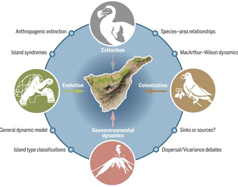 Branches Of Geography Mind Map