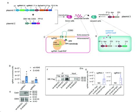 The Design And Characterization Of Ev Tracking System A Schematic Of