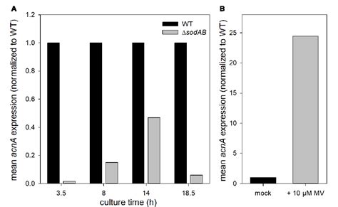 Figure From Impact Of Ros Induced Damage Of Tca Cycle Enzymes On