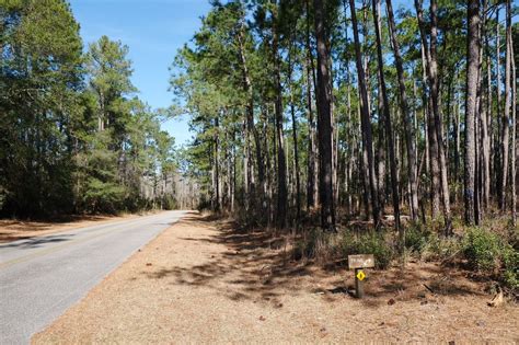 LAKE WACCAMAW STATE PARK - 41 Photos - Parks - 1866 State Park Dr, Lake ...