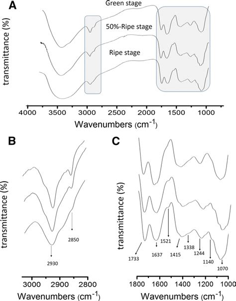 The Vibrational Frequencies Cm⁻¹ Obtained Using Ft Ir For The Download Scientific Diagram