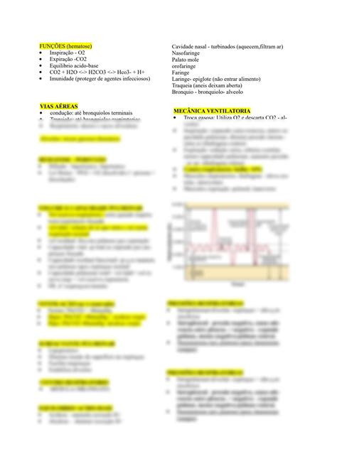 Solution Resumo Respiratorio Studypool