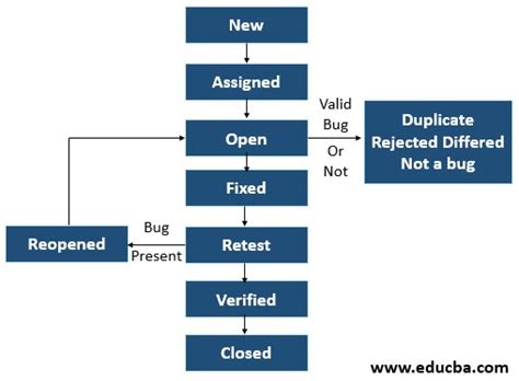 Jira Bug Life Cycle Know How To Detect Bug Life In Software Testing