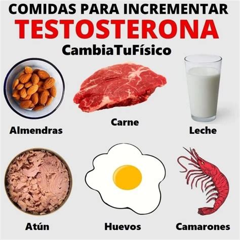 Comidas Para Incrementar Testosterona Cambiatufisico Blog