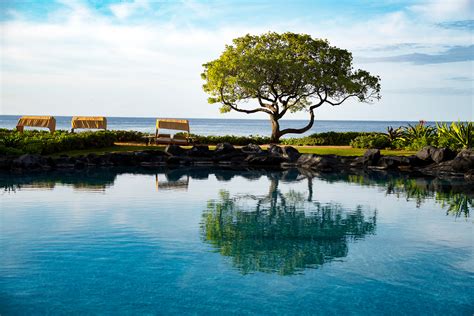 Grand Hyatt Kauai Resort Spa Cinergi