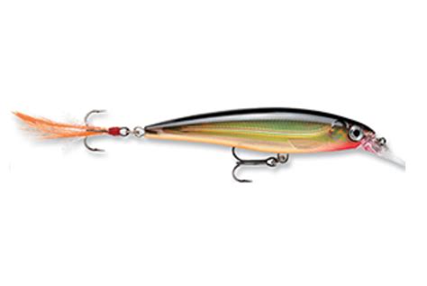 Rapala X Rap Jerkbait Xr10 Fishing Lure Review Skate The Fly