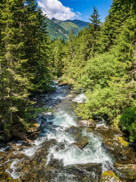 Bildet Landskap Tre Skog Foss Lita Elv Bekk Villmark Fjell