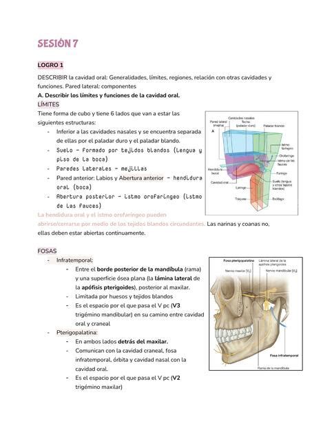 SESIÓN 7 Estructura de la Cavidad oral Apertura y hyakkimaru kun uDocz