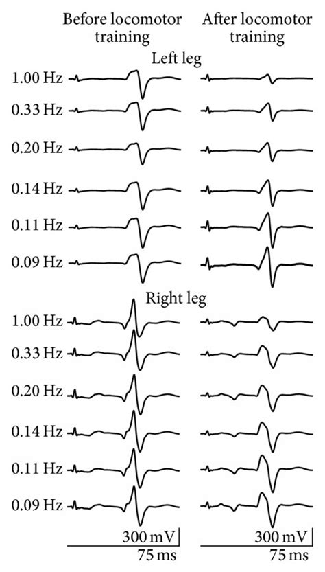 Functional Reorganization Of Homosynaptic Depression After Locomotor Download Scientific