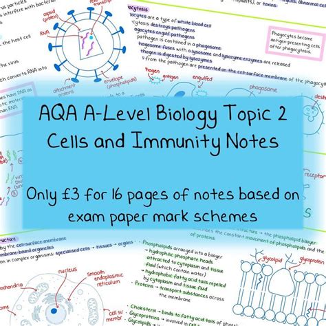 A Level Biology Notes Cells And Immunity Pdf Aqa Topic Biology