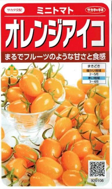 サカタのタネ ミニトマト オレンジアイコ 約13粒【郵送対応】 【メーカー名からタネを探す（あ～た行）】【サカタのタネ】 日光種苗