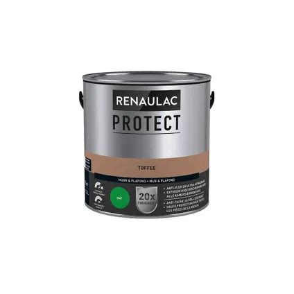 Peinture Mur Et Plafond Renaulac Protect Ultra Couvrante Toffee Mat L