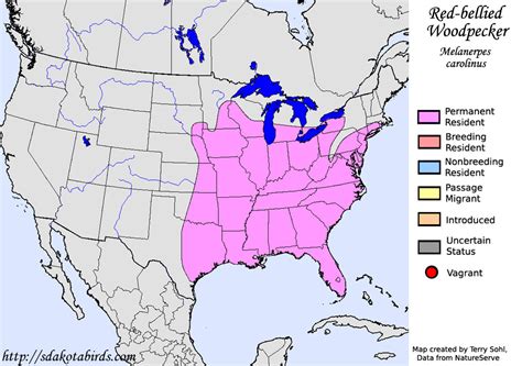 Red Bellied Woodpecker Species Range Map