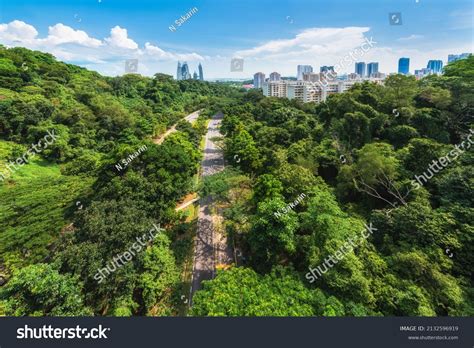 Singapore City Forest Airplane Blue Sky Stock Photo 2132596919 ...