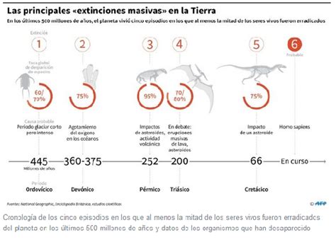 La Sexta Gran Extinci N Est En Marcha