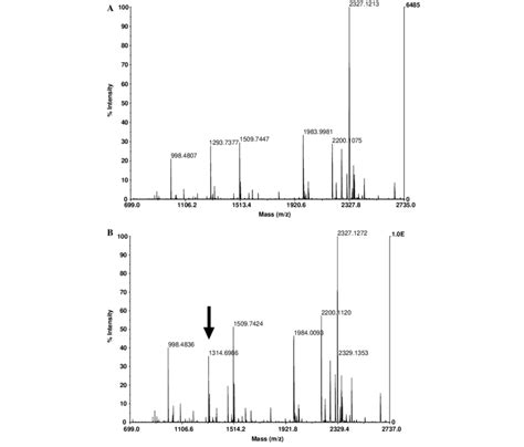 Maldi Tof Mass Spectrometry Analysis Of Trypsin Digest From Gst Lbd Of Download Scientific