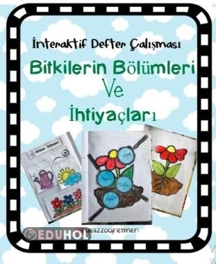 Bitkilerin Htiya Lar Ve B L Eduhol Etkinlik Ndir Oyun Oyna