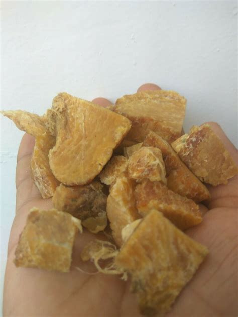 Ambergris whale vomit from Atlantic Ocean Rare Whale Vomit detailed ...