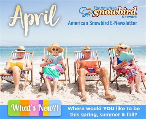 California Snowbird Vacation Rentals By Owner Ca Monthly And Multi