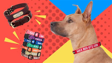 Best Personalized Dog Collars | Customize With Your Pet's Name