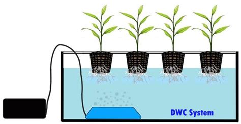 Diagrams Of Water Culture Hydroponic Grow Systems The Main M