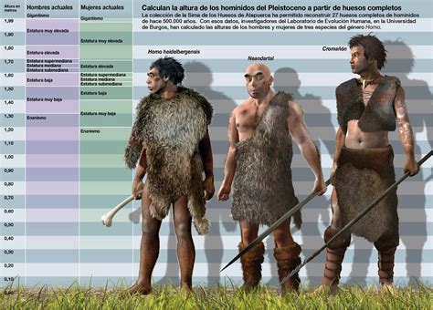 El ‘homo Heidelbergensis Era Solo Un Poco Más Alto Que El Neandertal